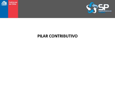 Pilar Contributivo