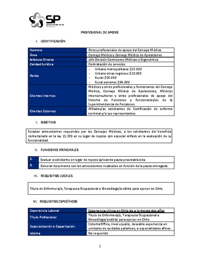 Perfil de cargo otros profesionales del Consejo Médico
