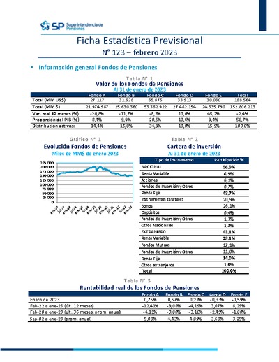 Ficha Estadística Previsional N° 123, febrero 2023