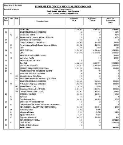Informe Ejecución Presupuestaria a enero 2025