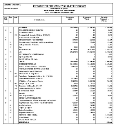 Informe Ejecución Presupuestaria a febrero 2025