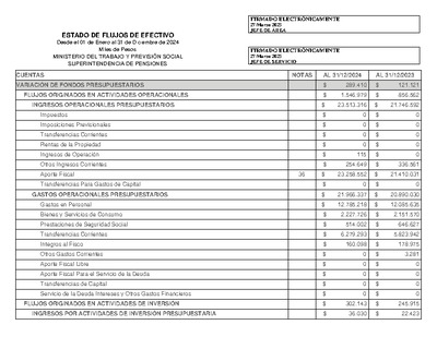 Estado de Flujos de Efectivo de la Superintendencia de Pensiones, desde el 1 de enero al 31 de diciembre de 2024.