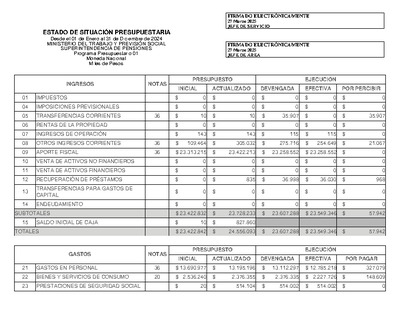 Estado de Situación Presupuestaria de la Superintendencia de Pensiones, desde el 1 de enero al 31 de diciembre de 2024.