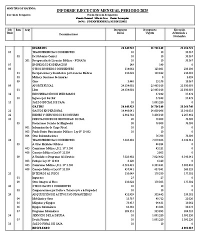 Informe Ejecución Presupuestaria a noviembre 2025